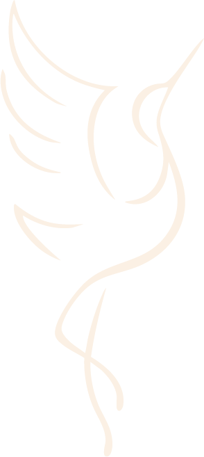 acompañamiento integral espacio kuren