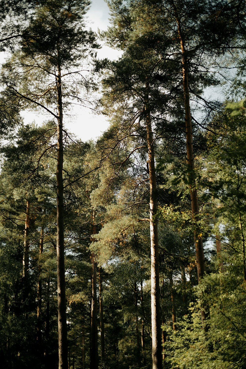 centro terapeutico espacio kuren